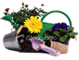Superior Garden Center