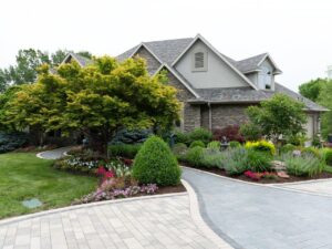 house with a paver walkway with landscaping and large tree